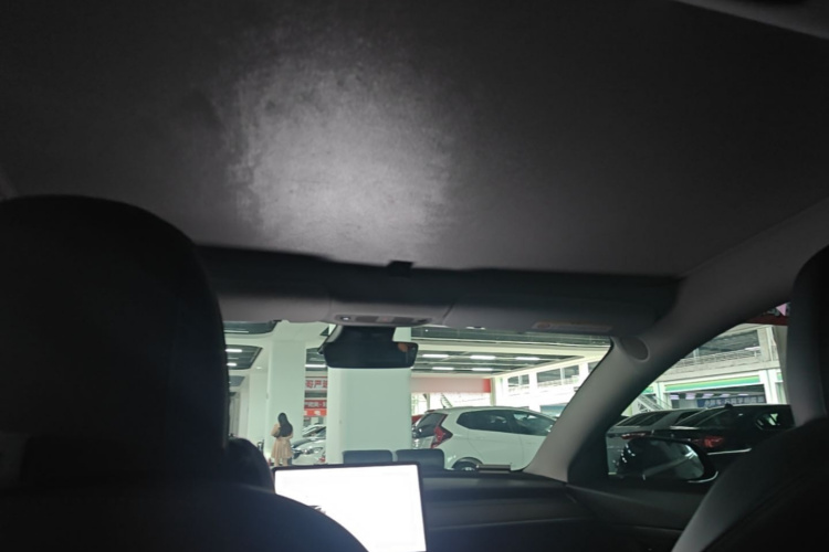 Tesla Model 3 2020 car image #18