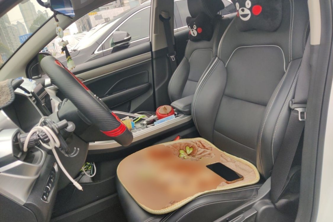 GEELY Coolray 2019 car image #18