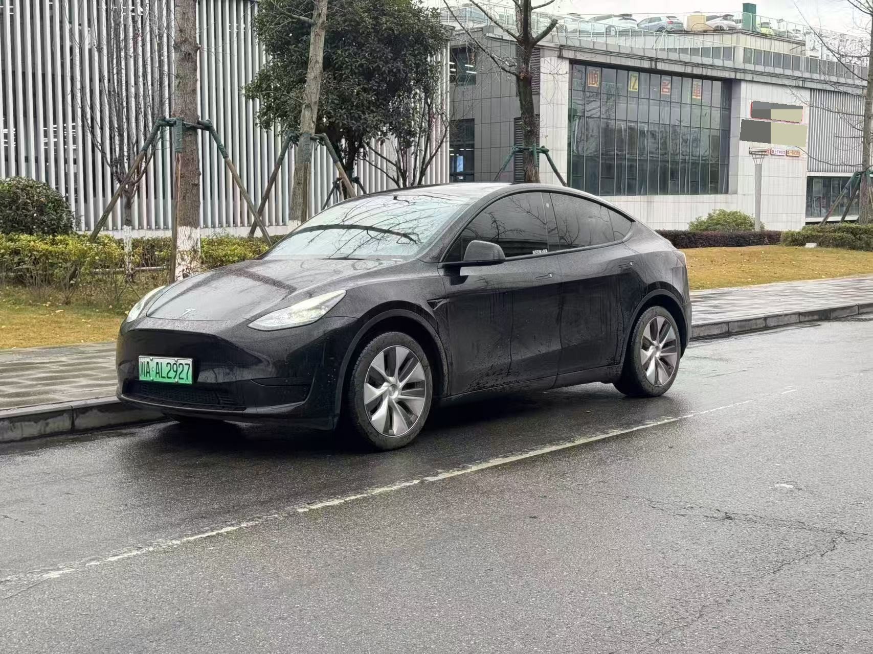 Tesla Model Y 2023 Tesla Model Y 2023 car image