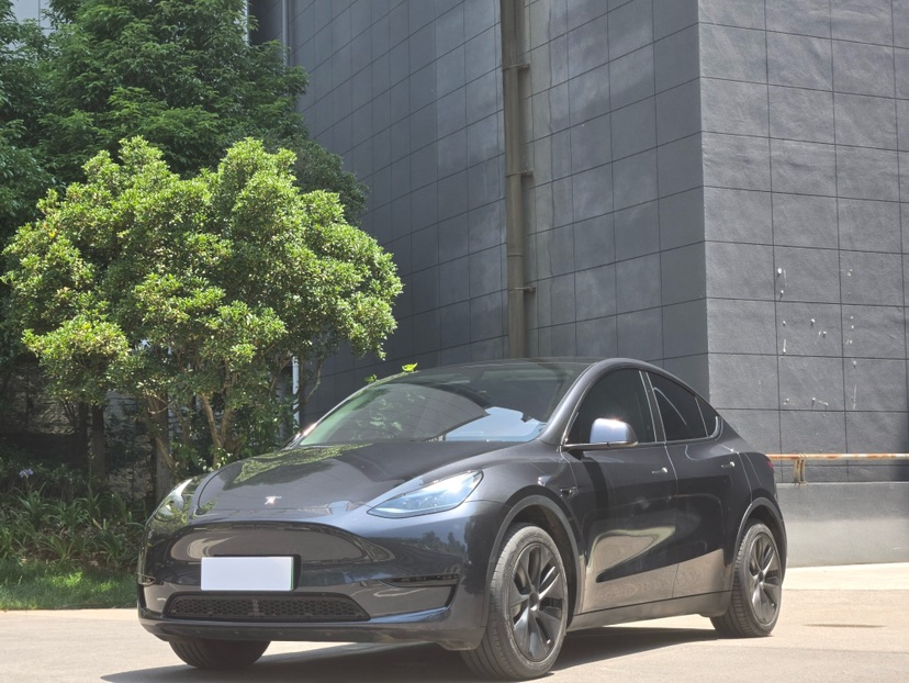 Tesla Model Y 2024 Tesla Model Y 2024 car image