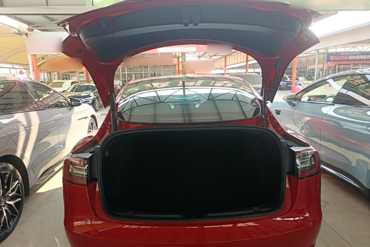 Tesla Model 3 2021 #21 Tesla Model 3 2021 car image #21