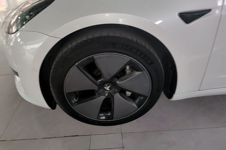 Tesla Model 3 2021 car image #9
