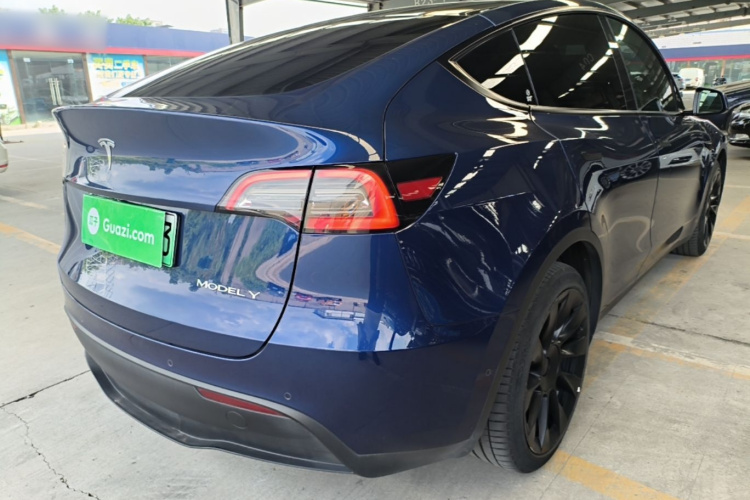 Tesla Model Y 2021 car image #8