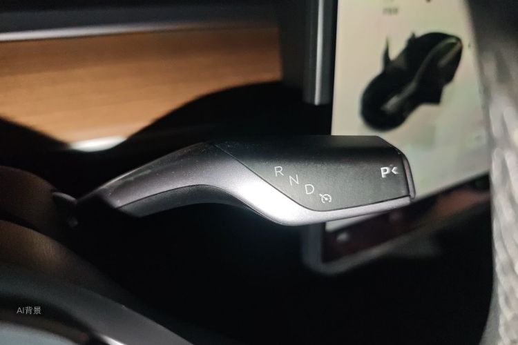 Tesla Model 3 2023 car image #16