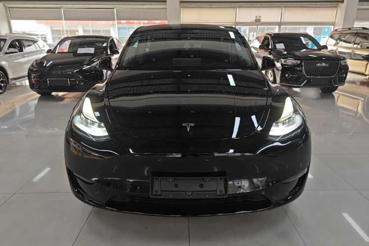 Tesla Model Y 2023 #3 Tesla Model Y 2023 car image #3