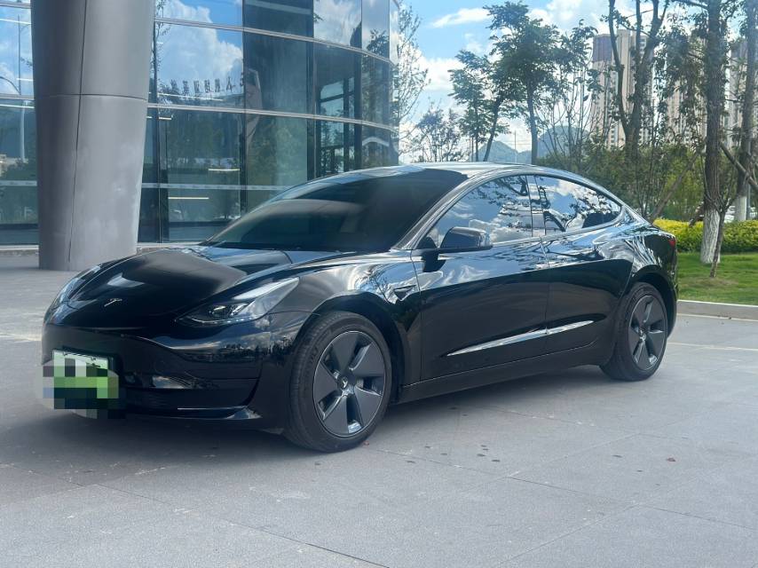 Tesla Model 3 2023 Tesla Model 3 2023 car image