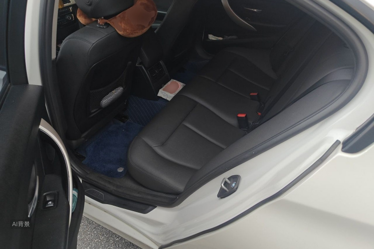 BMW 3 Series 2016 car image #19