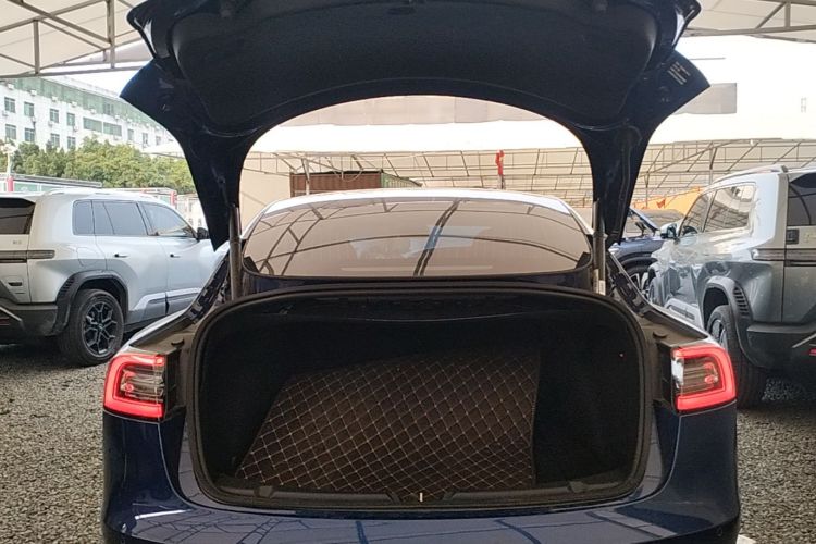 Tesla Model 3 2020 #19 Tesla Model 3 2020 car image #19