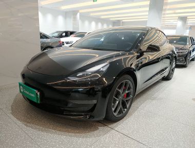 Tesla Model 3 2022 car image 