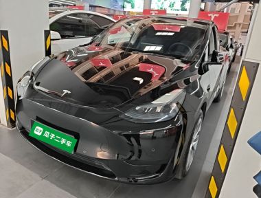 Tesla Model Y 2023 Tesla Model Y 2023 car image