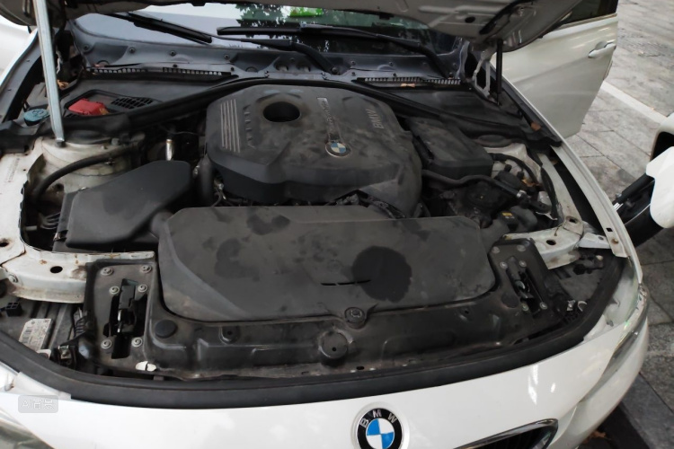 BMW 3 Series 2017 car image #22