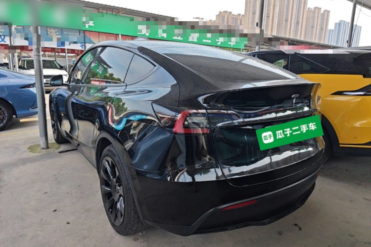 Tesla Model Y 2021 car image #7