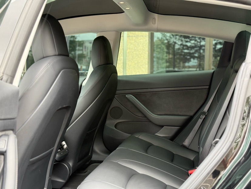 Tesla Model 3 2021 car image #5