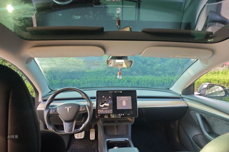 Tesla Model 3 2022 car image #20