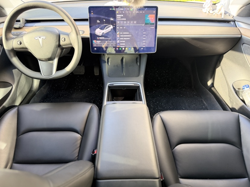 Tesla Model 3 2021 car image #8