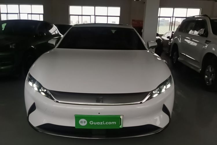 BYD Han 2022 immagine di auto #3
