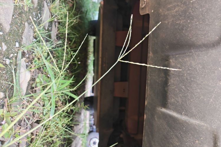 BYD Yuan New Energy 2019 car image #27