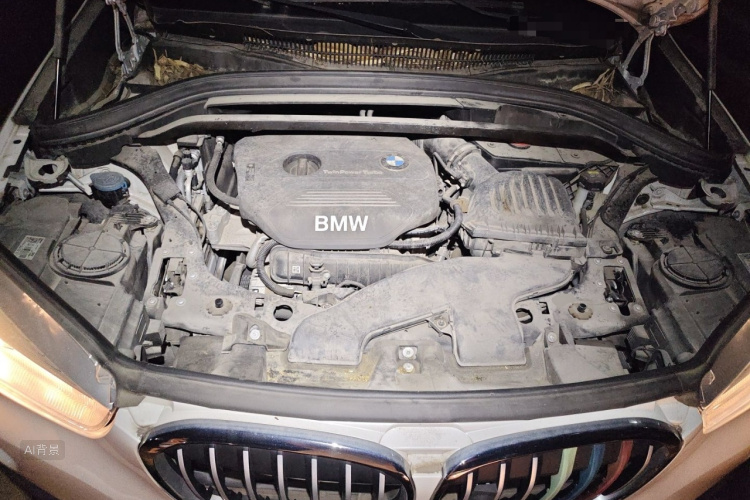 BMW X1 2017 #22 BMW X1 2017 immagine di auto #22