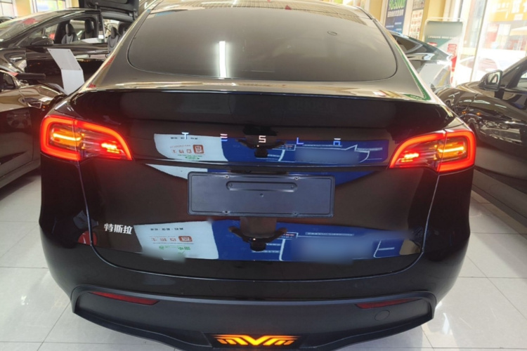 Tesla Model Y 2022 immagine di auto #6