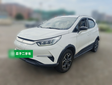 BYD Yuan Pro 2021 car image 