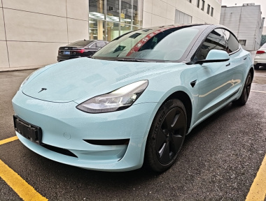 Tesla Model 3 2022 Tesla Model 3 2022 صورة سيارة