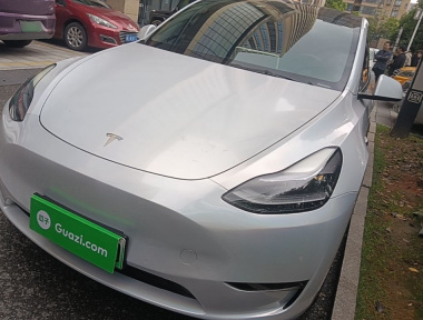 Tesla Model Y 2021 Tesla Model Y 2021 car image
