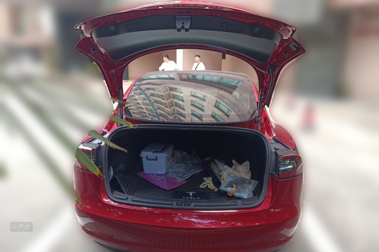 Tesla Model 3 2021 #21 Tesla Model 3 2021 immagine di auto #21
