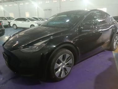 Tesla Model Y 2022 car image 