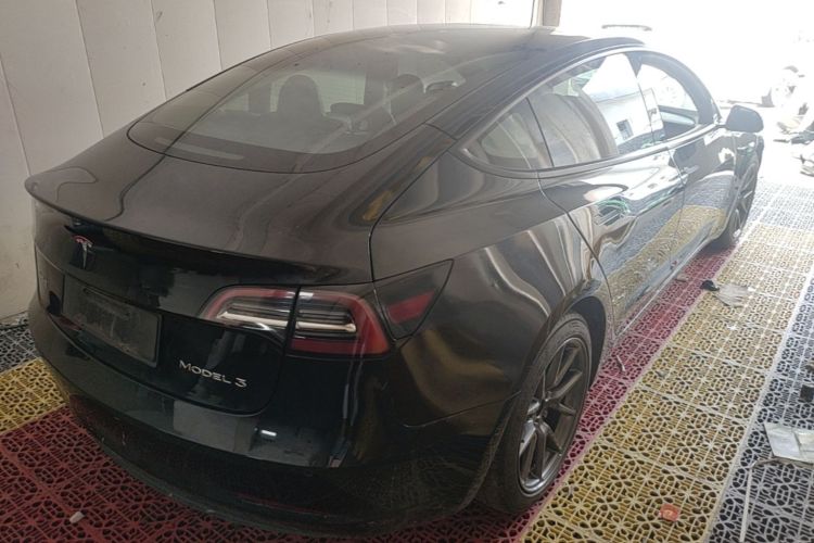 Tesla Model 3 2021 #7 Tesla Model 3 2021 car image #7