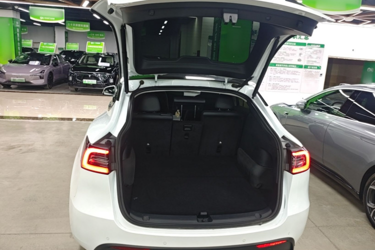 Tesla Model Y 2023 #19 Tesla Model Y 2023 car image #19
