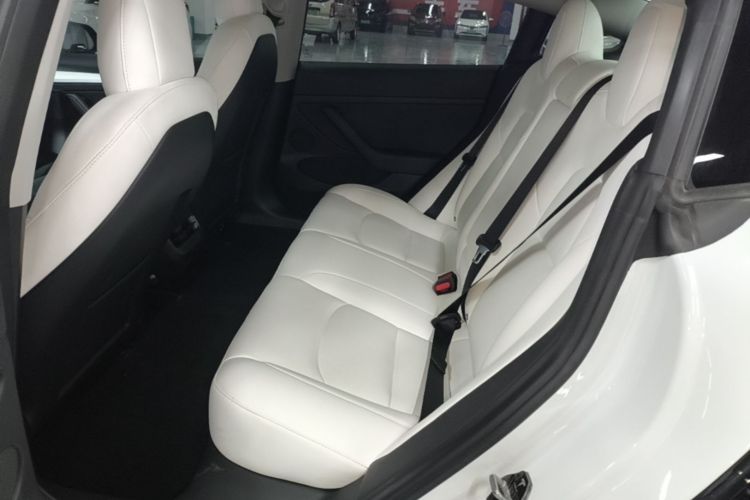 Tesla Model 3 2021 #17 Tesla Model 3 2021 car image #17