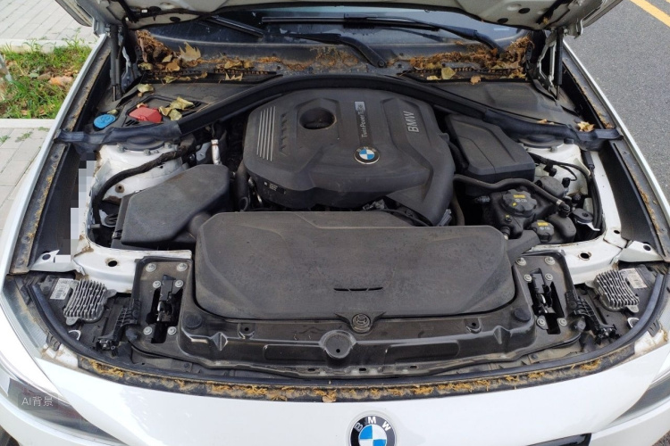 BMW 3 Series GT 2019 car image #22
