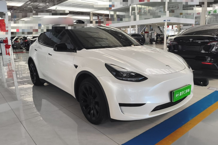 Tesla Model Y 2023 #6 Tesla Model Y 2023 car image #6
