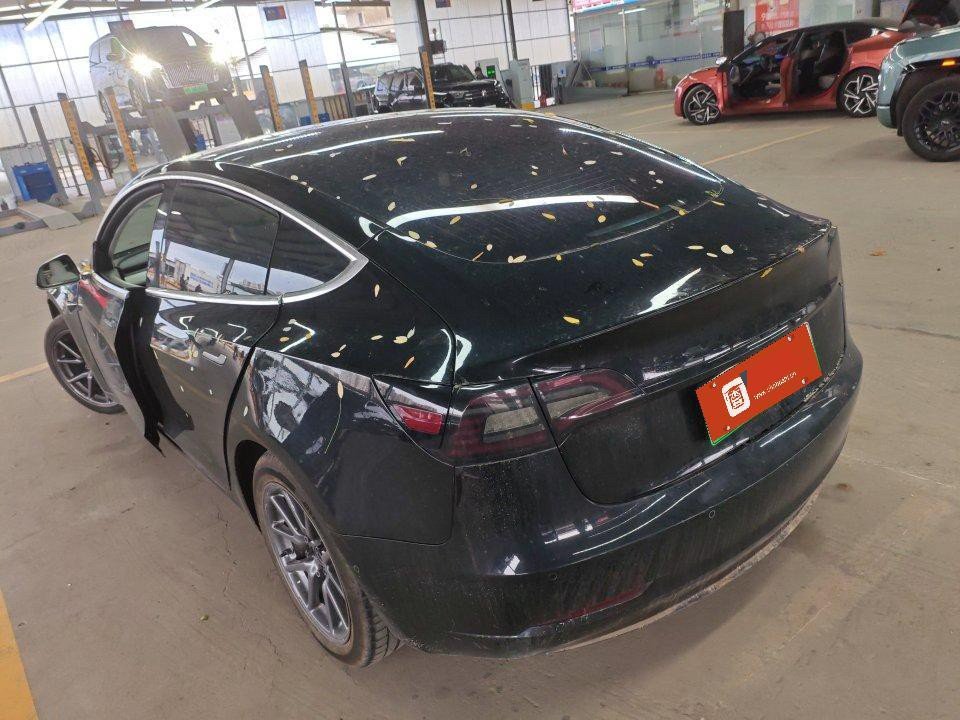 Tesla Model 3 (Imported) 2020 #7 Tesla Model 3 (Imported) 2020 imagen de coche #7