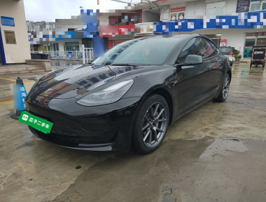 Tesla Model 3 2022 Tesla Model 3 2022 car image