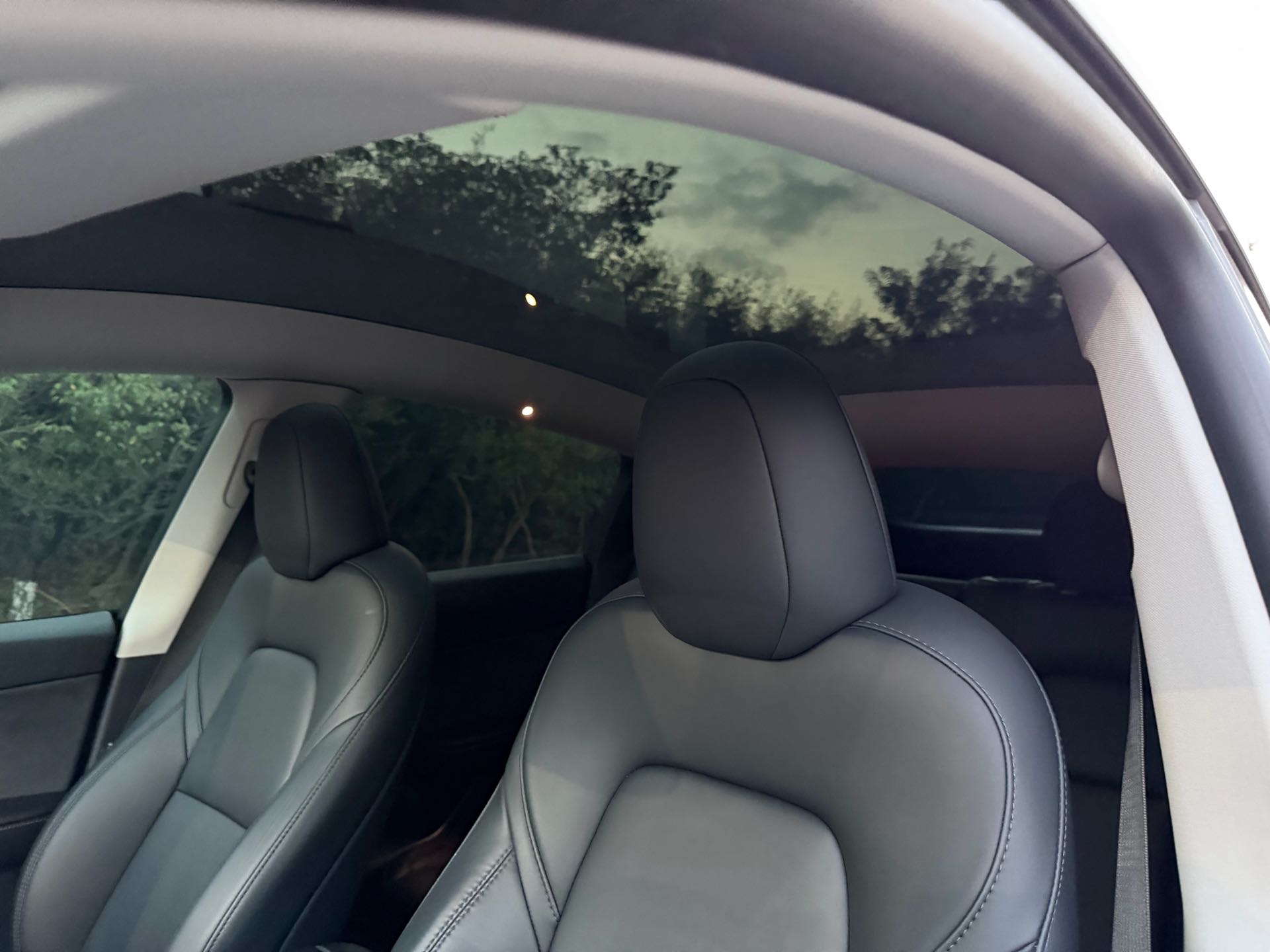 Tesla Model Y 2024 #8 Tesla Model Y 2024 car image #8