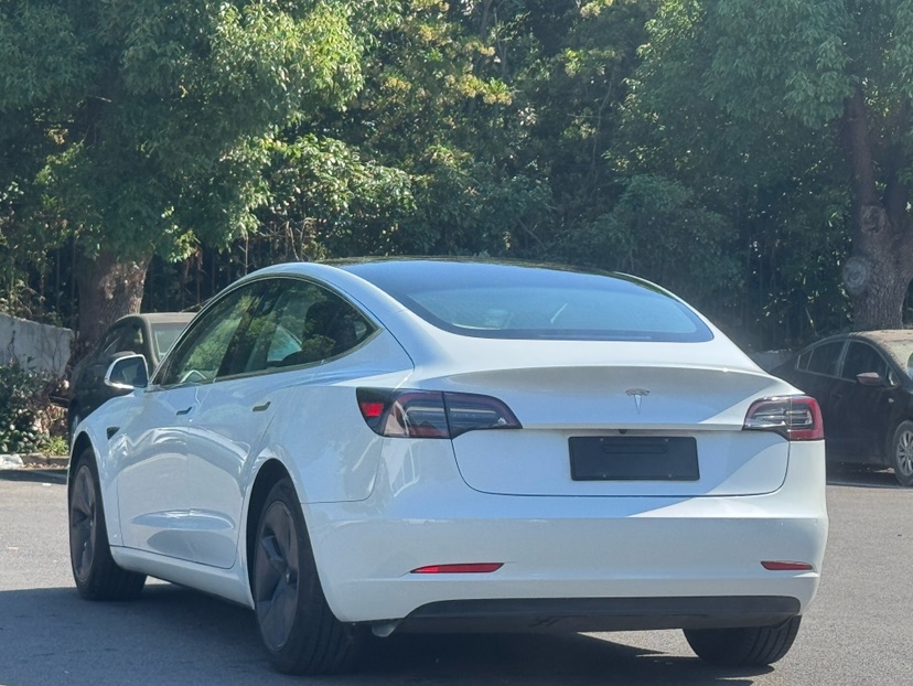 Tesla Model 3 (Imported) 2019 #6 Tesla Model 3 (Imported) 2019 car image #6
