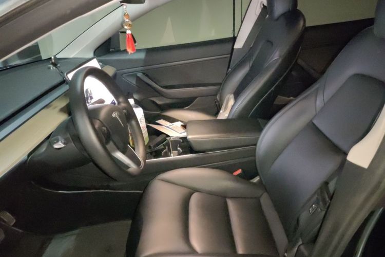 Tesla Model 3 2020 car image #19
