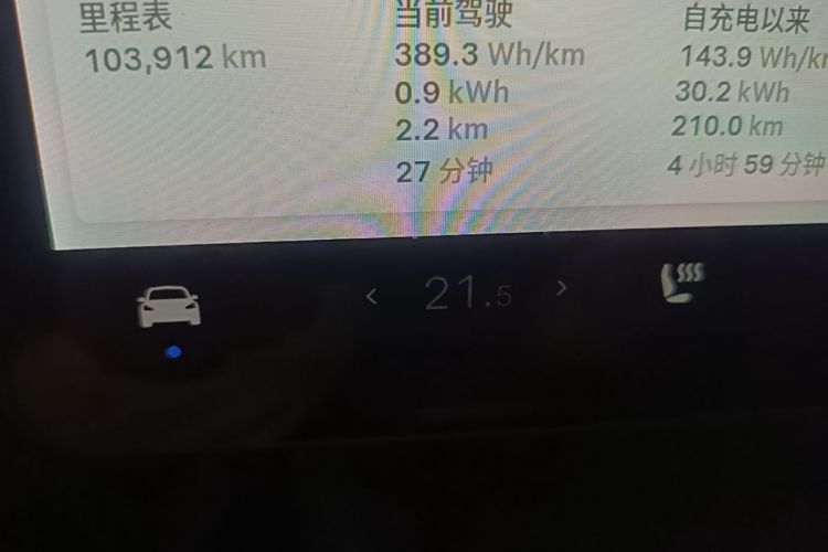 Tesla Model 3 2021 car image #12