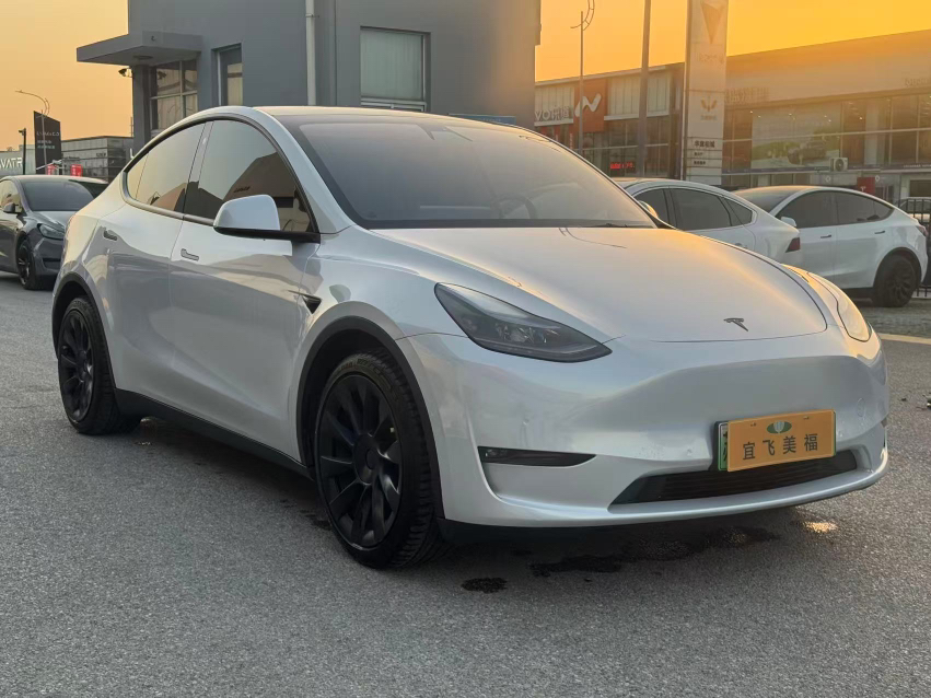 Tesla Model Y 2021 Tesla Model Y 2021 car image