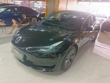 Tesla Model 3 2022 Tesla Model 3 2022 immagine di auto
