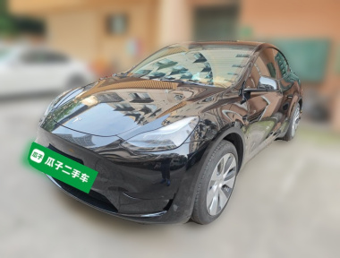 Tesla Model Y 2023 Tesla Model Y 2023 car image