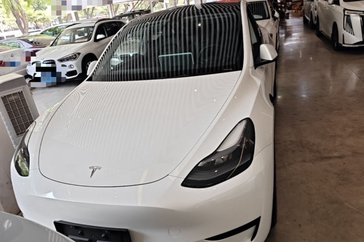 Tesla Model Y 2024 car image #3
