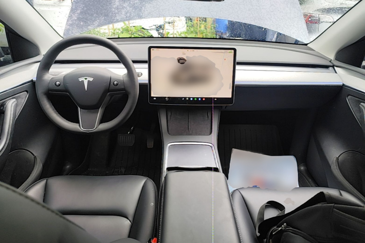 Tesla Model Y 2024 car image #10