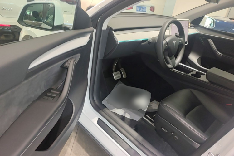 Tesla Model Y 2024 car image #12