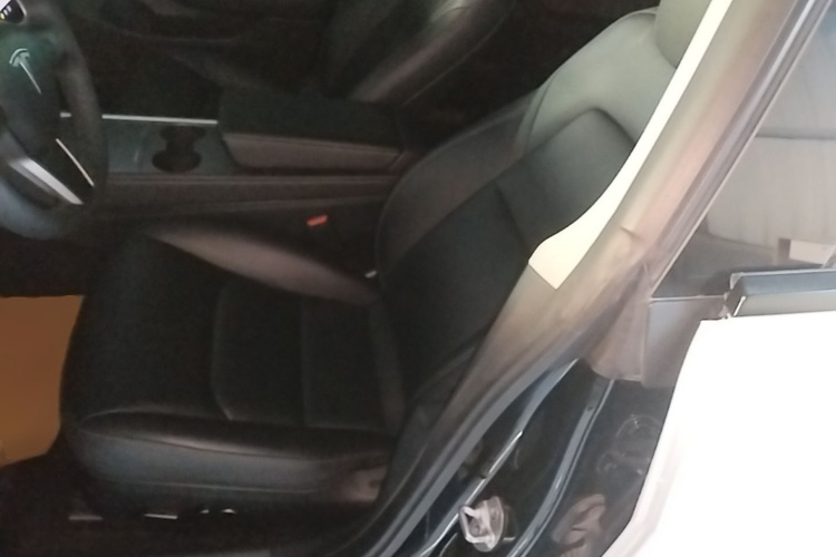 Tesla Model 3 2023 car image #15
