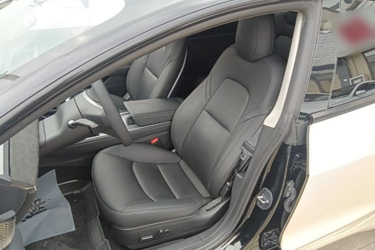 Tesla Model 3 2021 immagine di auto #15