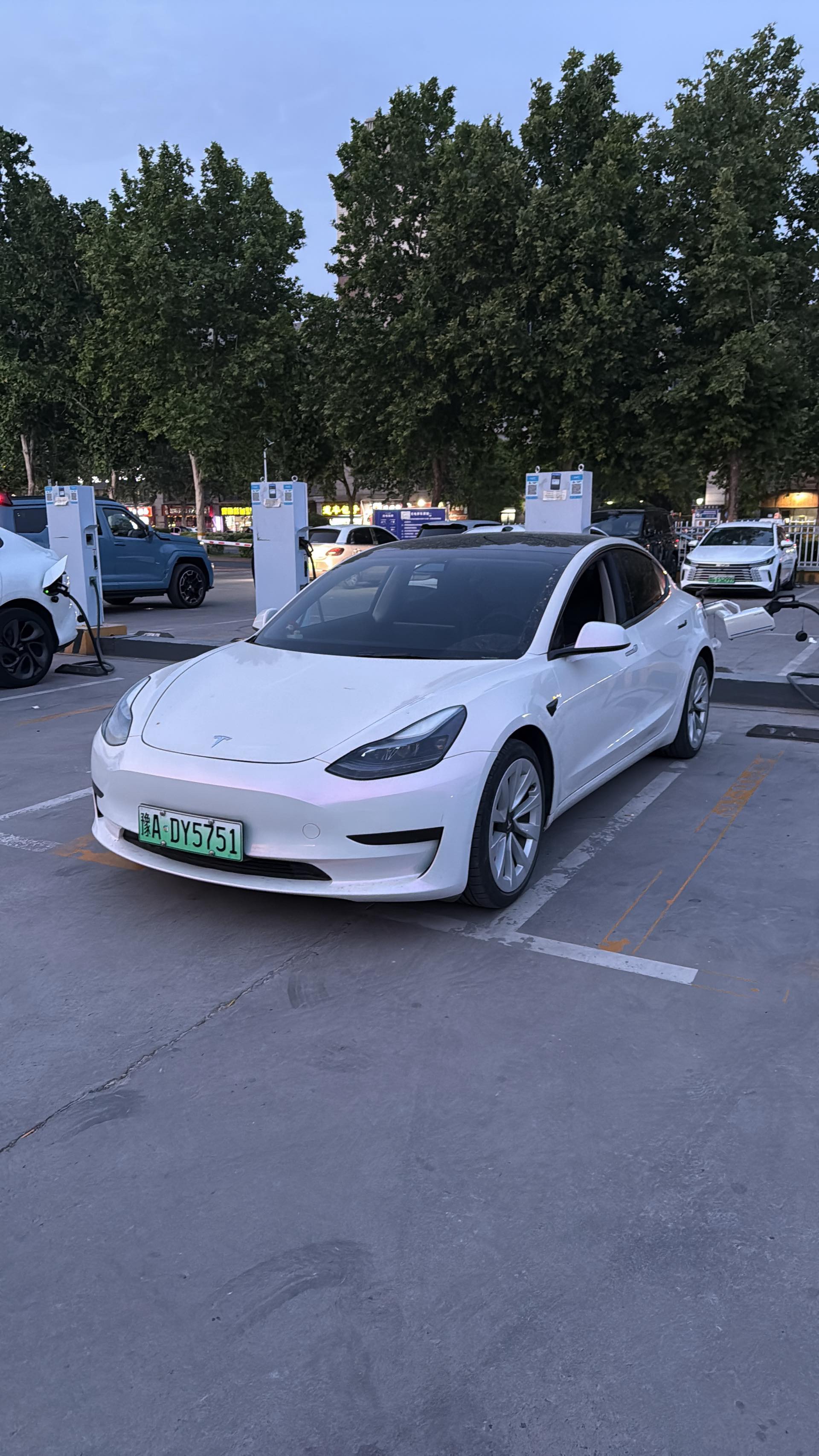 Tesla Model 3 2021 car image 