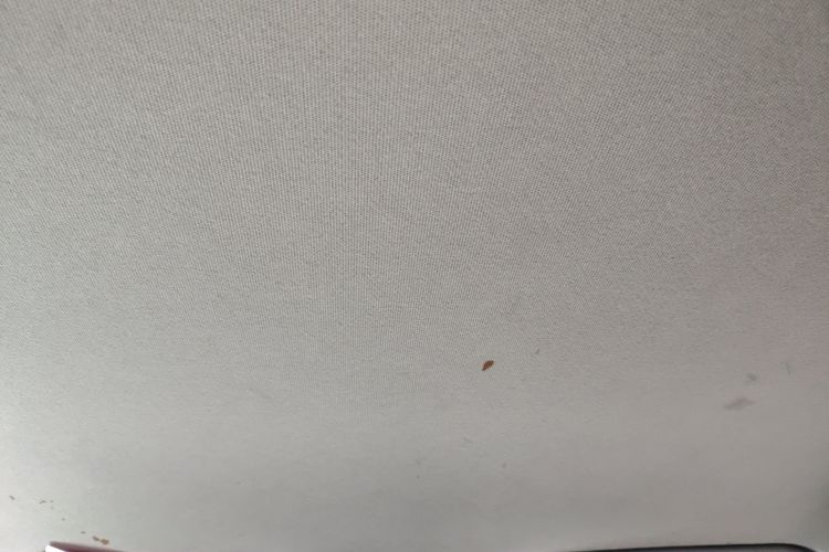 Chery Tiggo 3x 2020 car image #20