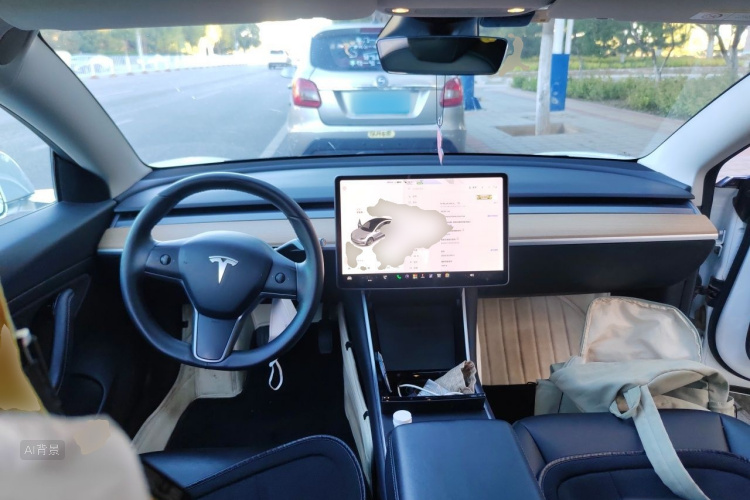 Tesla Model 3 2020 car image #11